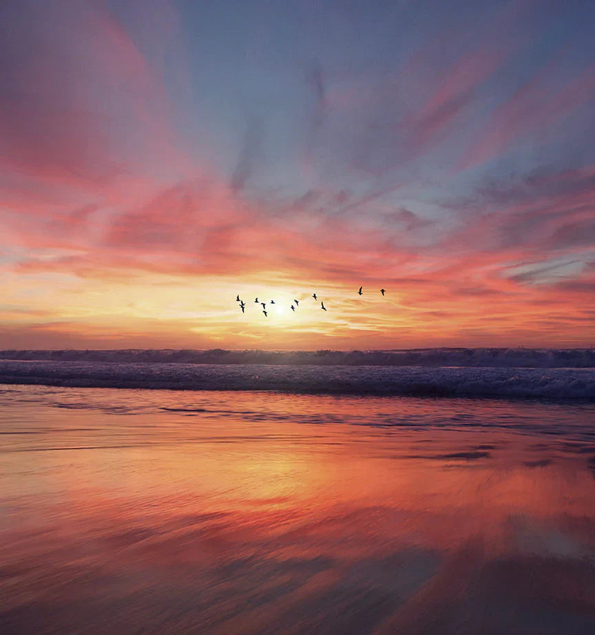 Daha İyi Bir Dünya